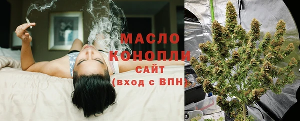 дмт Гусев