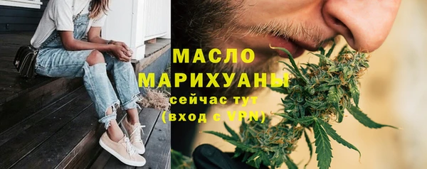 гашик Гусь-Хрустальный